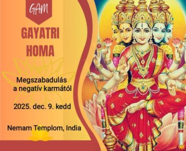 3db799dd-f531-4127-abfa-07ad6df79a82